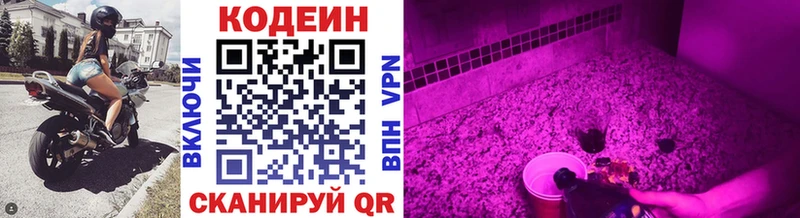 Купить где  Ханты-Мансийск  Codein Purple Drank 