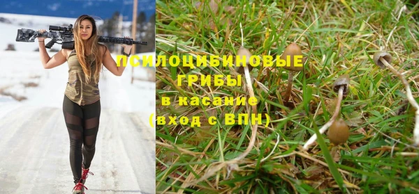СК Дмитровск