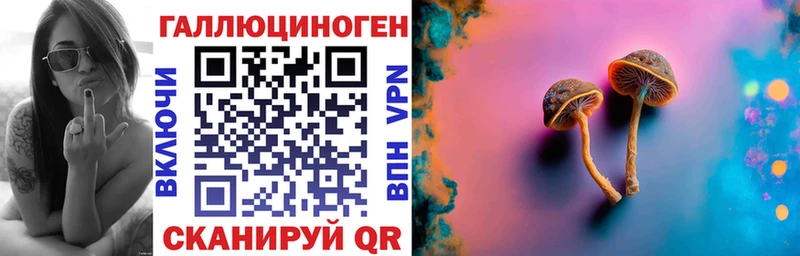 Купить  Ханты-Мансийск  Галлюциногенные грибы Cubensis 